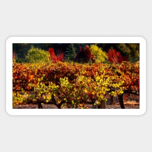 Autumn Vineyard Landscape Sticker
